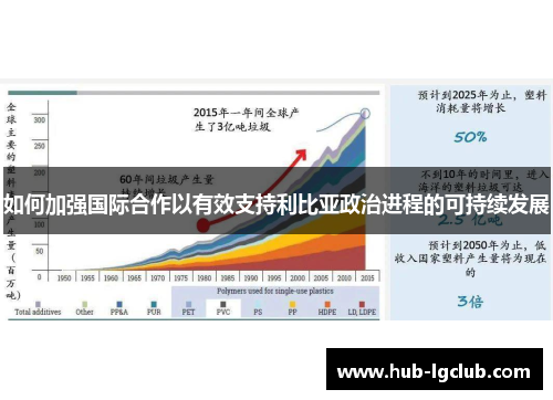 如何加强国际合作以有效支持利比亚政治进程的可持续发展