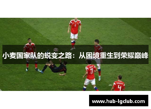 小麦国家队的蜕变之路：从困境重生到荣耀巅峰