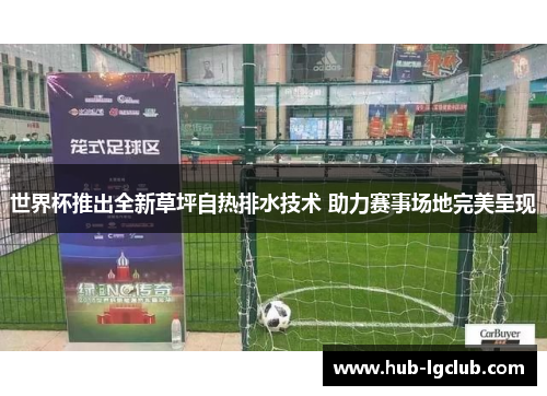 世界杯推出全新草坪自热排水技术 助力赛事场地完美呈现